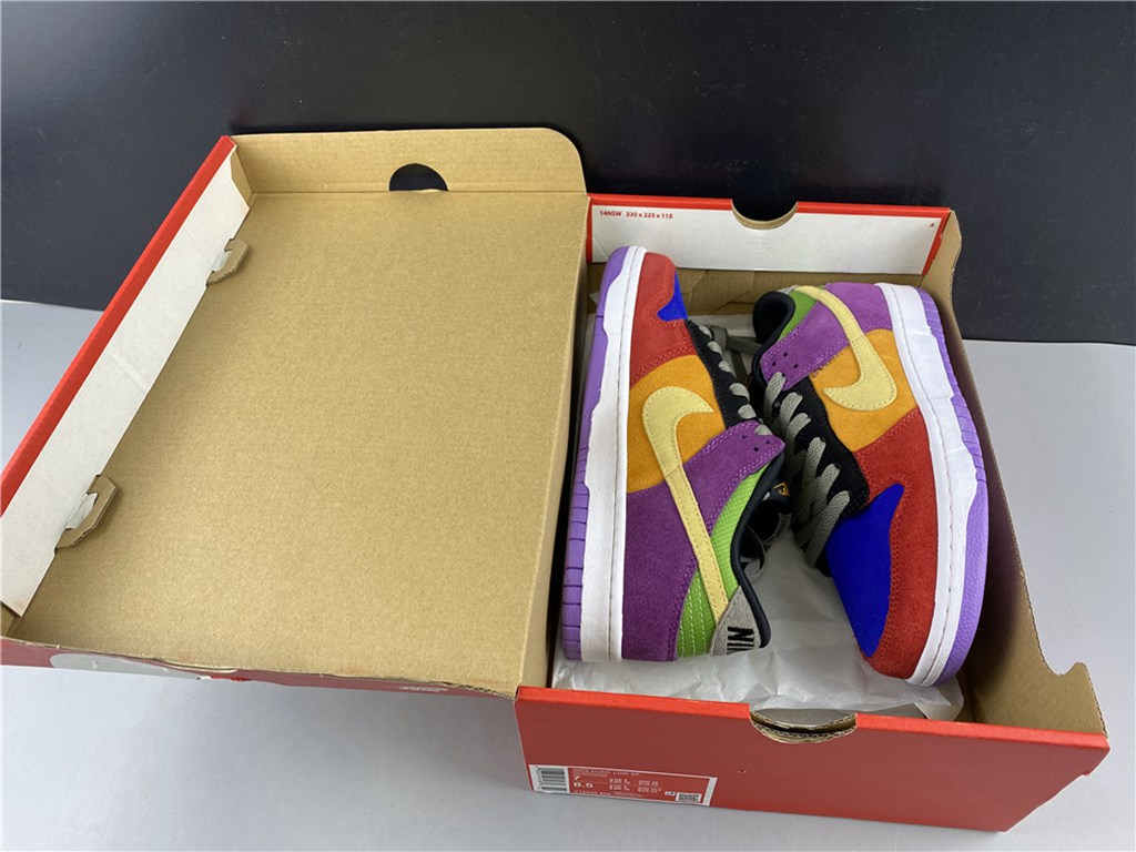 Nike Dunk Low SB Viotech CT5050-500